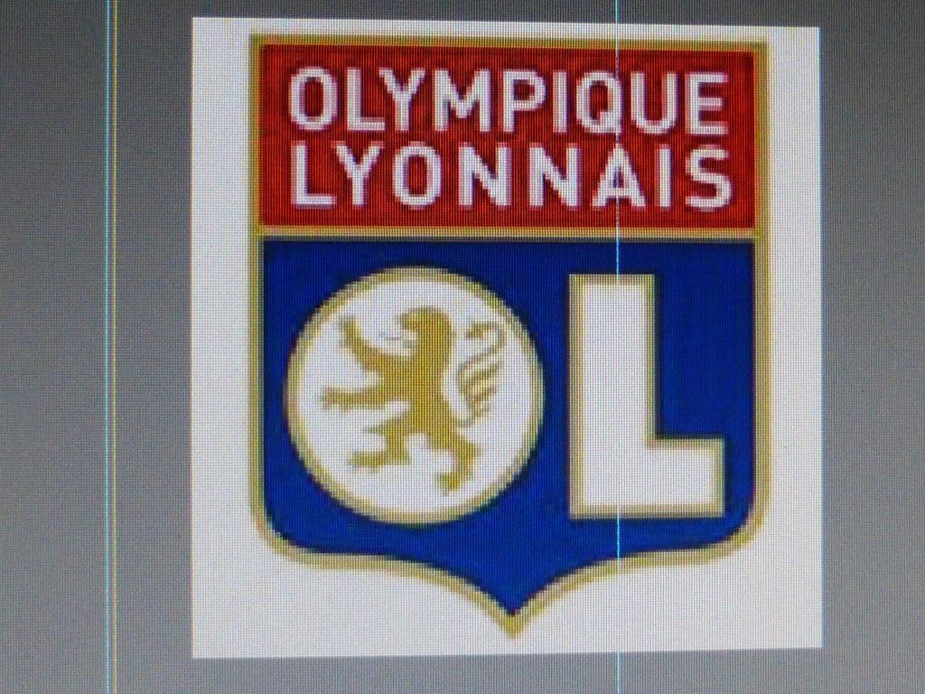 Laennec Hotel Lyon Eksteriør billede