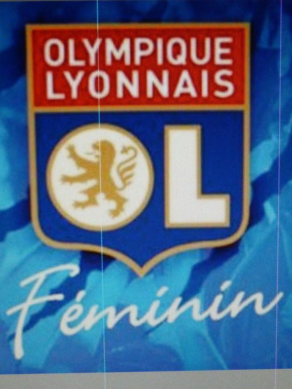 Laennec Hotel Lyon Eksteriør billede